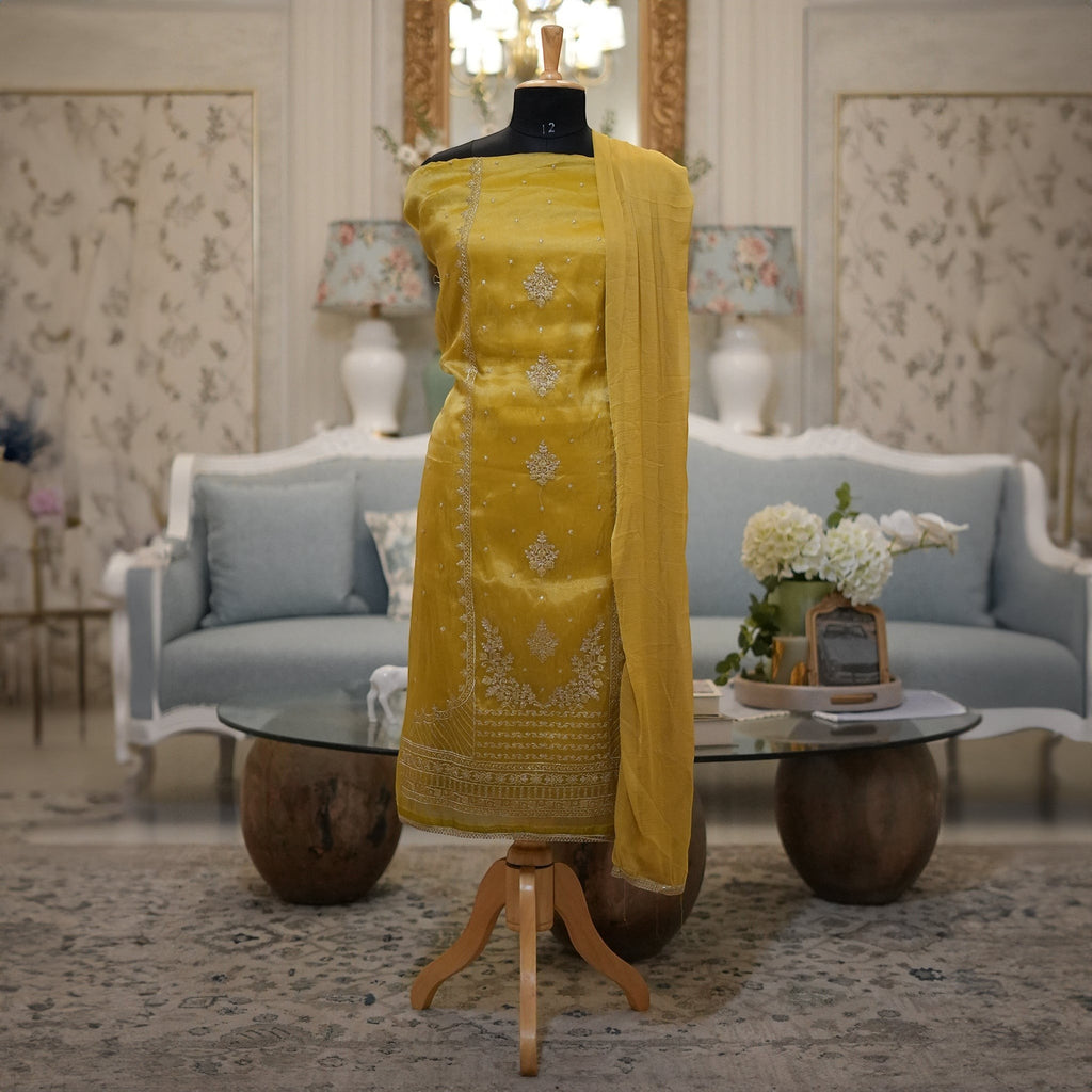 Elegant Mustard Yellow Punjabi Suit with Organza Dupatta for MOM